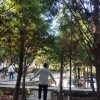 lawrence_wang