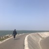 陳立