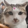Zoe