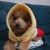 erin2000116