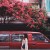 Linloveflower