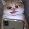 再睡半小時