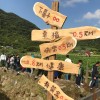 190神木