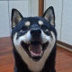 Lynn