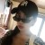 lydia_kang