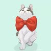 MISSandCAT