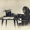 猴子打字機