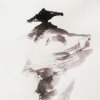 凉皮君