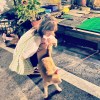 孟軒