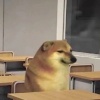 LJDXFQ