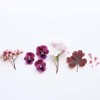 soft_shape_pzb
