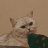 Sy