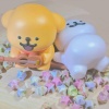 Mico_1204