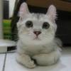 Ming-chun Jeng