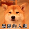 4MuMg