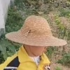 、樂蟲