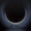 D Sky乐团