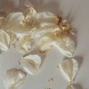 爆炒松子