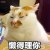 大貓貓
