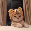 爍星秘宙