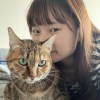 寧