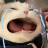 __zz_
