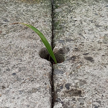 於是