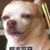 noisy_rain_rt7