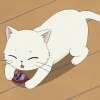 Nocturne1999