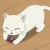 Nocturne1999