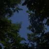 spring_night_