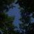 spring_night_