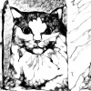 RUICHI Z