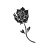 Qniii_51
