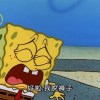歐奇