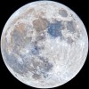 Shedy Moon