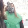 軒啦