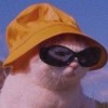Orangebb