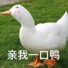 煜哥絕不回頭