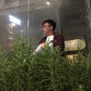 Panda726058