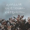 stu97518