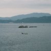 河