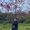 Pinyu