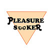 Pleasure Seeker - 一夜裸體(DEMO)