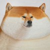 BUKEHUISHOU