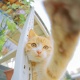 Denia_77