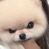 yxxicn