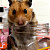 Foxxxxxxxxxxxxxxxx
