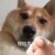 RFang