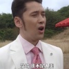 一片银叶